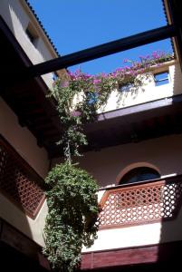 Hotel Riad Dar Choumissa (Maison d'htes) Riad Marrakech Tourisme Maroc