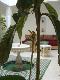 Riad Dar Ftouma Riad Marrakech Tourisme Maroc