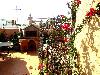 Hotel Riad riad le mazagao Riad Chefchaouen Tourisme Maroc
